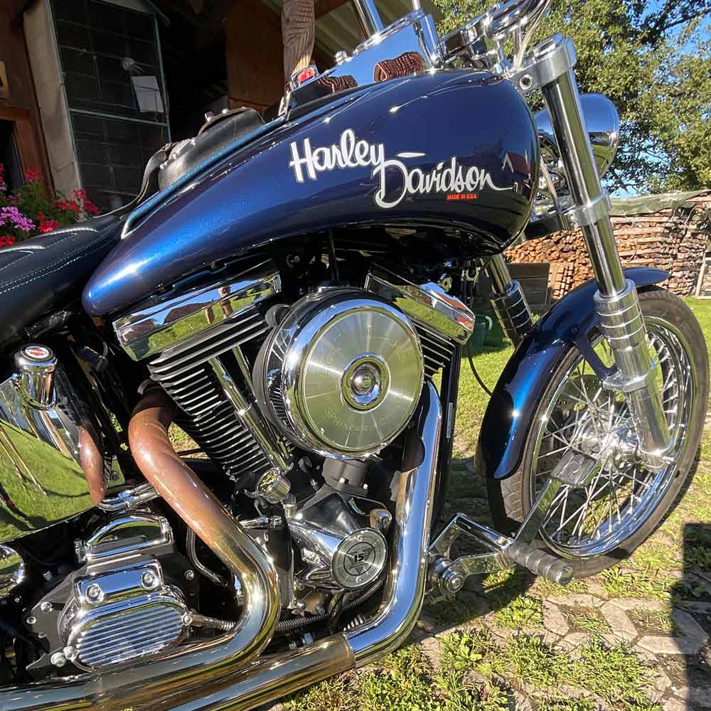 Custom Bike Harley Davidson